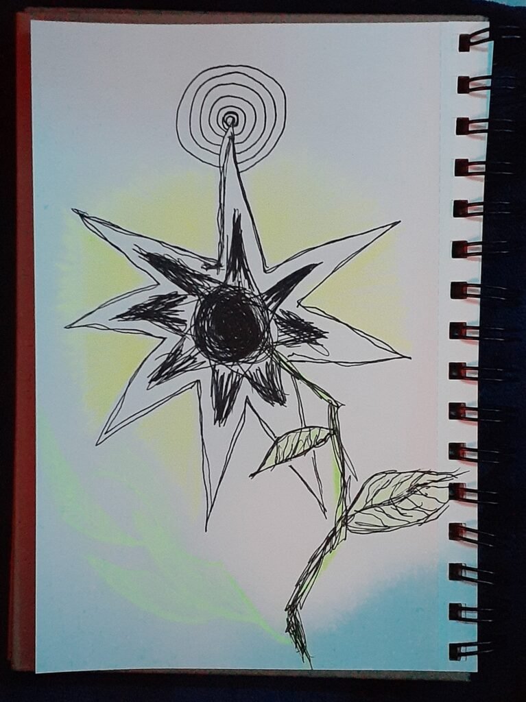 star flower