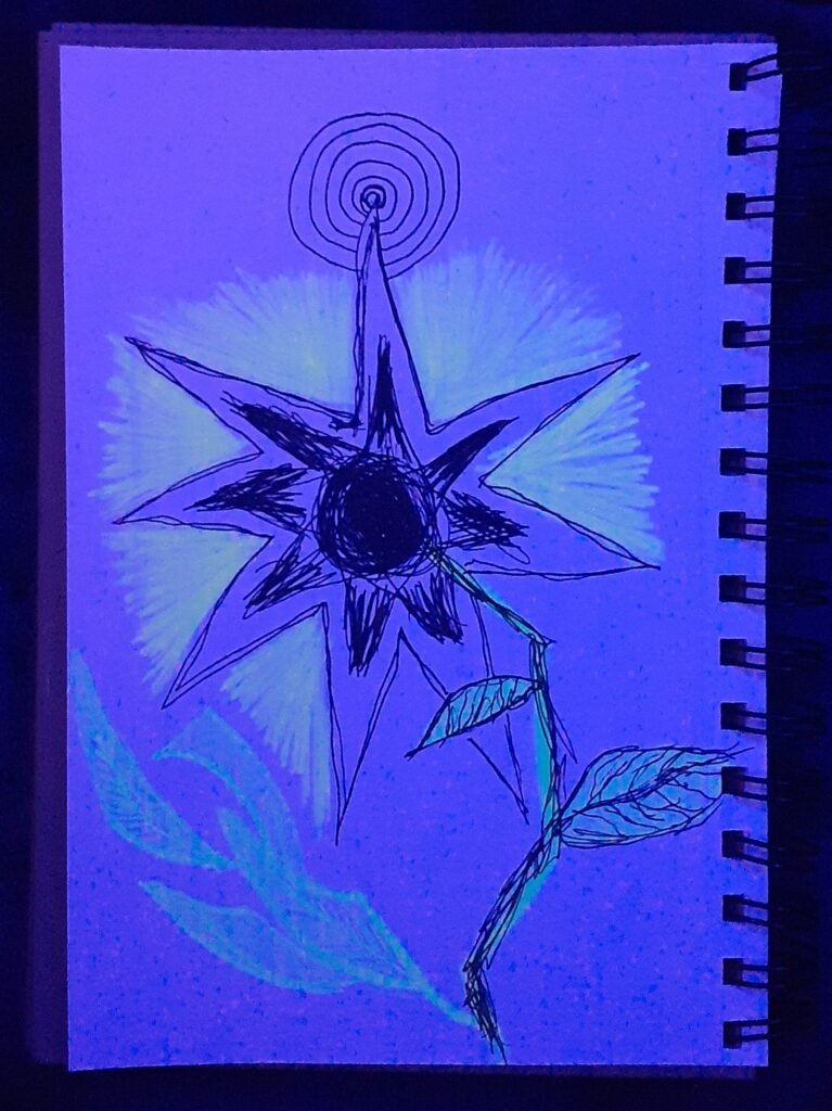 star flower (uv)