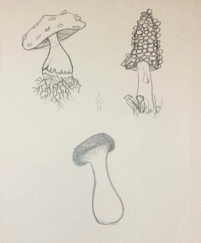 3 mushrooms