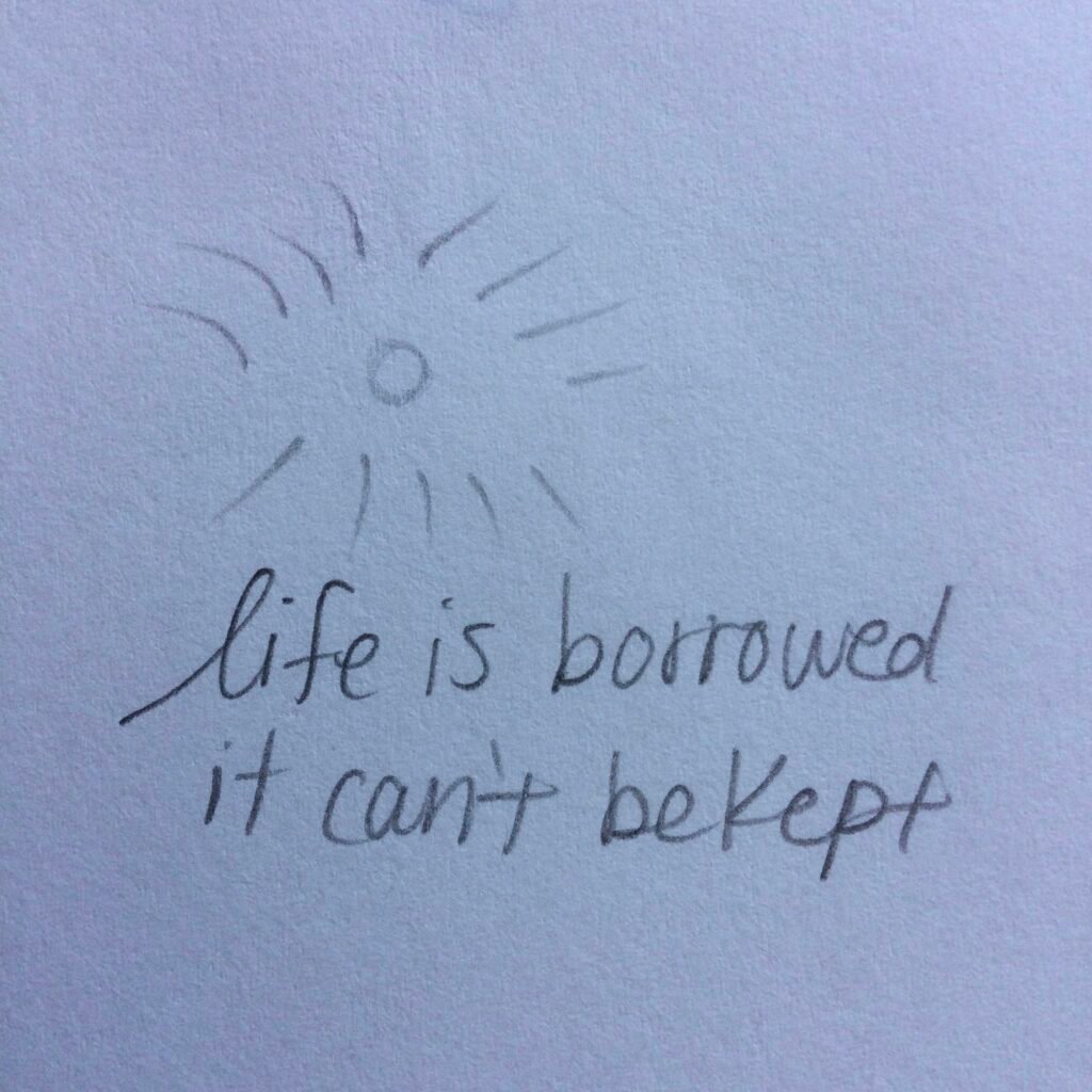 zequenz (pg. 2) life is borrowed