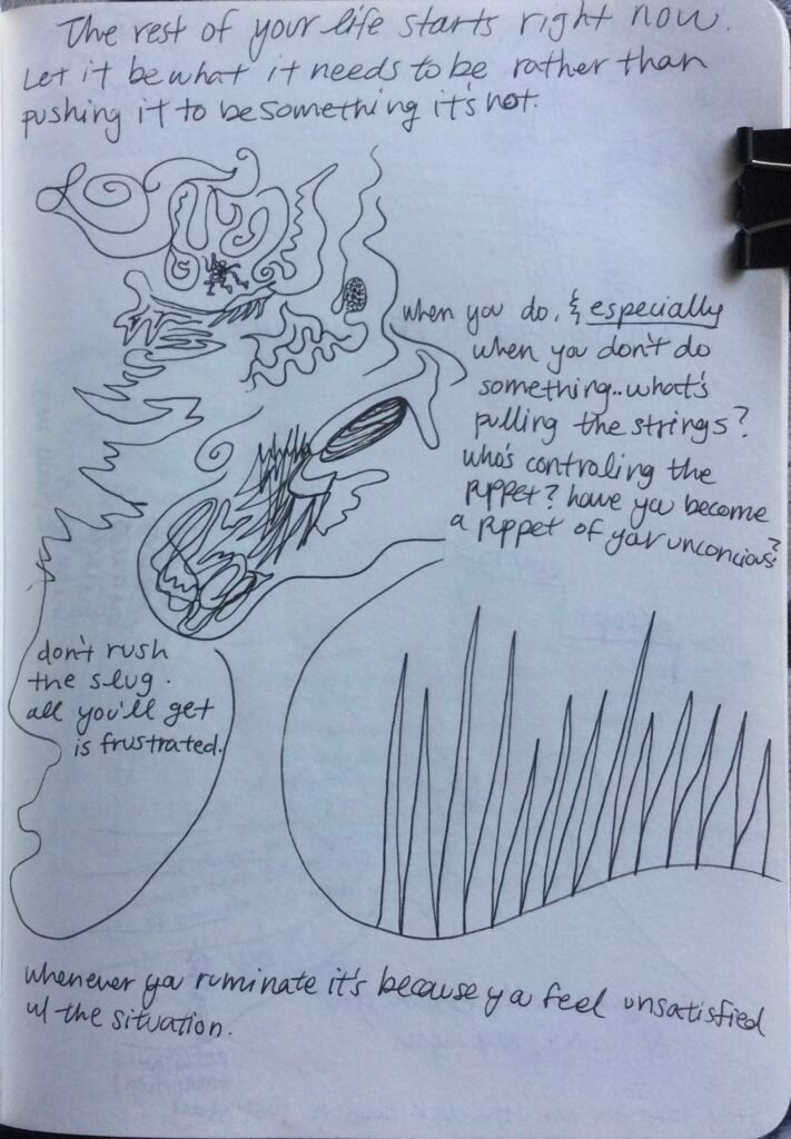 zequenz when is life