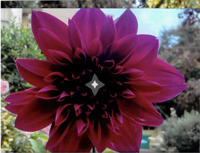 back, innocence wounded by wm