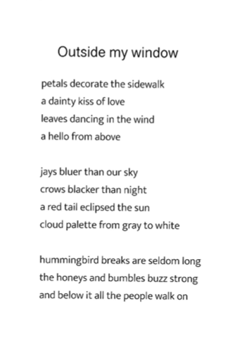 outside my window, poems by wm