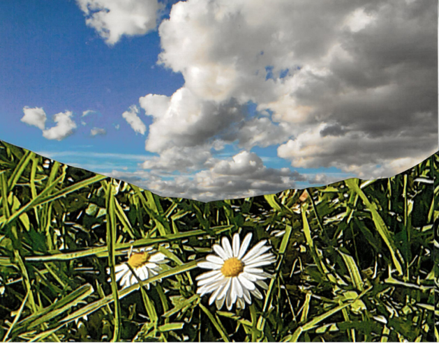 pg 1, innocence wounded by wm