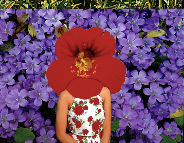 pg 3, innocence wounded by wm