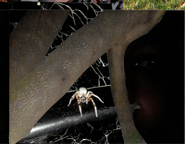 pg 7, innocence wounded by wm