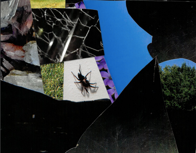 pg 9, innocence wounded by wm